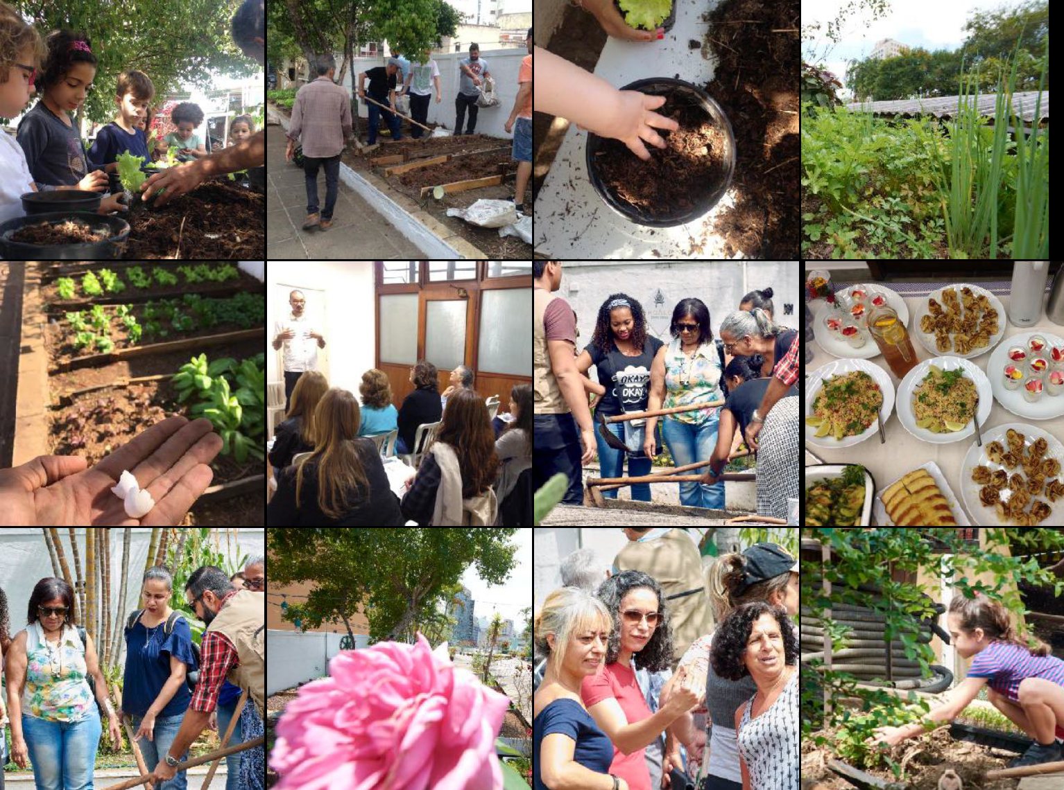 Alunos das turmas de agricultura urbana do Instituto: plantio, oficinas, colheita e degustação